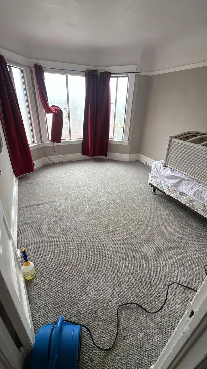 The same bedroom carpet after cleaning, with an air mover drying the fresh carpet